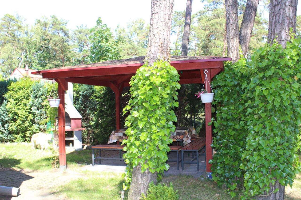 Dom Pod Sosnami Bed & Breakfast เมียลโน ภายนอก รูปภาพ
